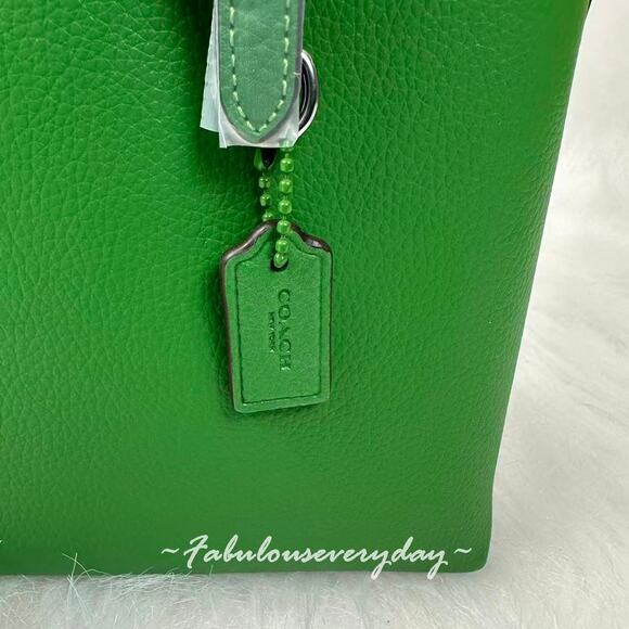 Coach Mollie Tote Bag 25 Crossbody In Leather/Kelly Green CV966 NWT - Picture 7 of 9